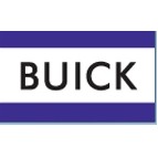 3 Stripe Buick® Nylon Dealer Logo Flag (3'x5') (Lettering Only)