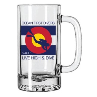 16 Oz. Glass Tankard Mug