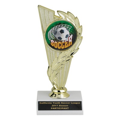 7" Trophy w/2" Medallion Insert