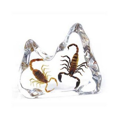 Lucite Paperweights with Real Scorpion and Black Scorpion, 4.45"X3.86"X 0.98"