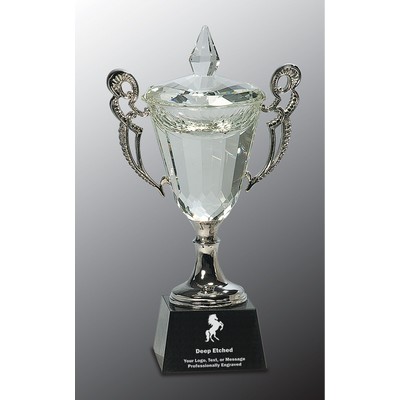 11 1/4" Crystal Cup with Silver Handles and Stem