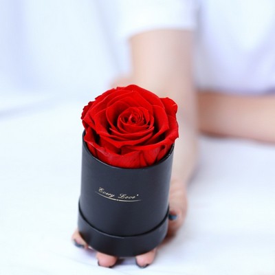 Single Longlasting Preserved Rose in Mini Box