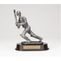 Male Cricket Batter Award