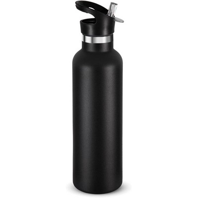 20 Oz Insulated Stainless Steel Water Bottles With Straw