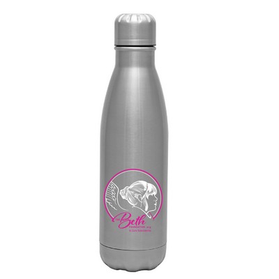 17 oz. Stainless Steel Bottle