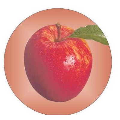 Apple Round Metal Photo Magnet (2 1/2")