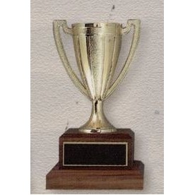 13" Plastic Trophy Cup on Wood Base