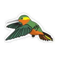 Hummingbird Lapel Pin