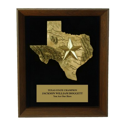 Texas w/Star Shadow Frame Plaque 11x14