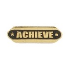 Achievement Stock Die Struck Pin