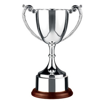 7" Swatkins Endurance Trophy Cup Award