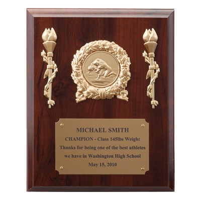 Plaque w/Gold Brass Plate Takes Insert (8"x10")