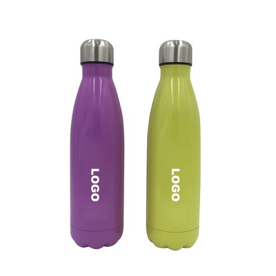 17 oz Double Wall Insulated Stainless Steel Water Bottle / 17 oz Bottle / Sport Bottle