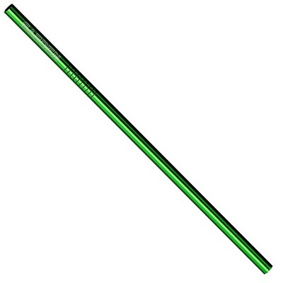 Straight Stainless Steel Straws: Set of 2 in Green