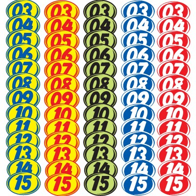 Red & Yellow Bold Year Model Decals (Set of 12)