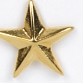 Gold Star Stock Cast Pin