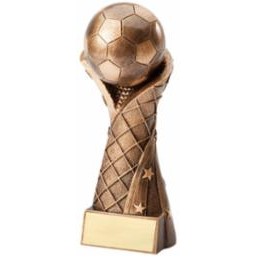 Medium Soccer Ball w/Net Award