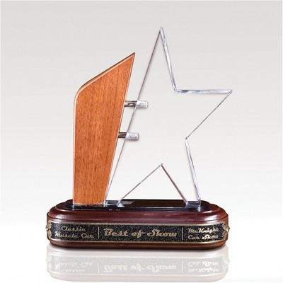 Acrylic Star Award - Emerging