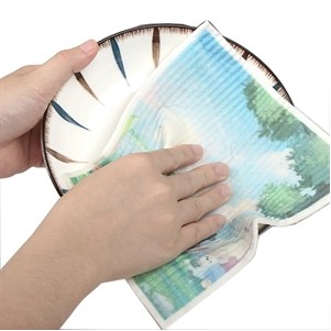 Biodegradable Absorbent Dishcloth: Dish Towels with Scouring Pad