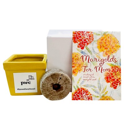 Marigold's for Mom Flower Seed Kit in Ceramic Pot