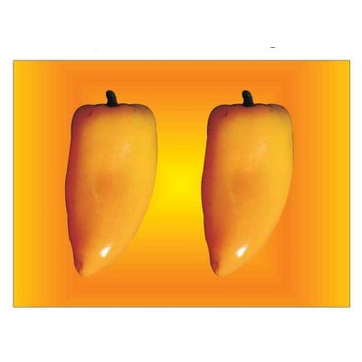 Yellow Chili Pepper Metal Photo Magnet (2 1/2"x3 1/2")