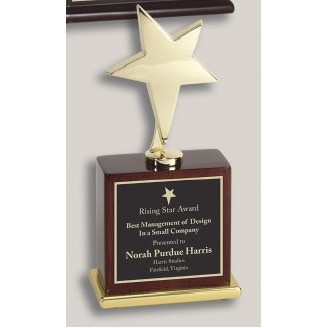 7.5" Gold Star Award w/Black Base