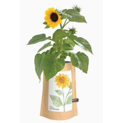 Sunflower Garden Kit