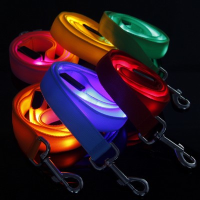 LED Dog Leash w/Light Showing On Both Sides