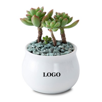 Small Succulent Planter