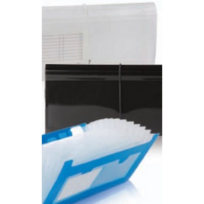 Assorted Pack Translucent Check Size Expanding File