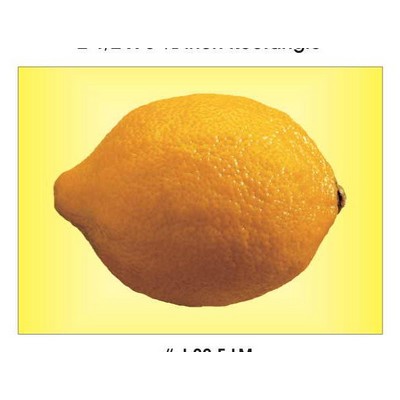 Lemon Metal Photo Magnet (2 1/2"x3 1/2")