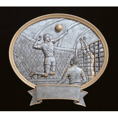 Volleyball, Male Oval Sport Legend Plates - 6"