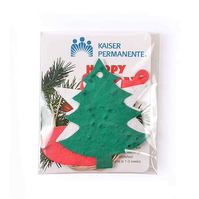 Multi-Shape Ornament Gift Pack