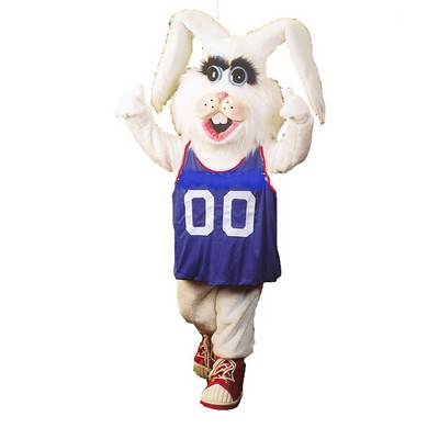 Sebastian Rabbit w/Clothing Mascot Costume