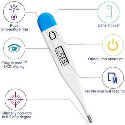 ABS Digital Thermometer