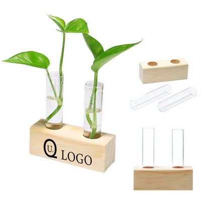 Tube Plants Terrariums In Wooden Stand