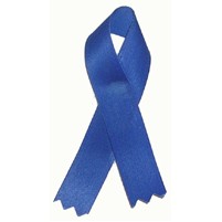 Blank Child Abuse/ Drunk Driving Awareness Ribbon Pin (3 1/2")