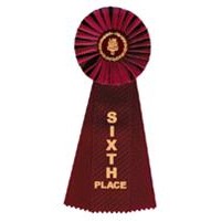 Rosette Ribbon - SIXTH PLACE - Maroon - 4-1/2" x 11"