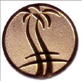 Die Struck Lapel Pin