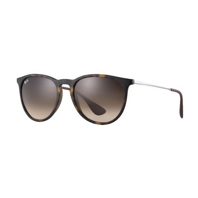 Ray-Ban RB4171 Erika Sunglasses