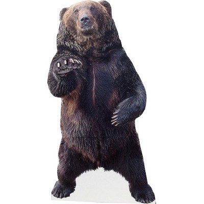 Brown Bear Animal Cardboard Cutout Stand Up| Standee Picture Poster Photo Print