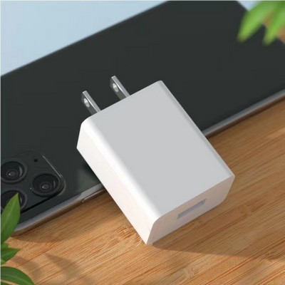 10W Wall Charger