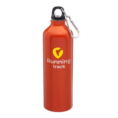 24 oz. Carabiner Aluminum Water Bottle (2 Color Imprint)