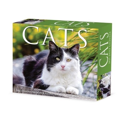 Cats 2025 6.2" x 5.4" Box Calendar