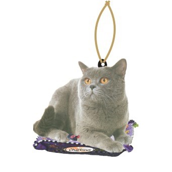 Chartreux Cat Mirrored Back Ornament (4 Square Inch)