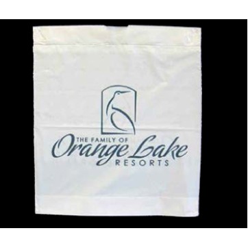 Imported Plastic Drawtape Bag (10"x13")