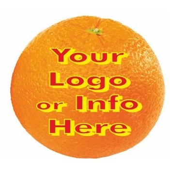 Orange Promotional Magnet (4 Square Inch)