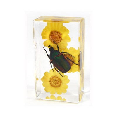 Lucite Piece with Real Green Rose Chafer Beetle, 1 5/8 x 2 7/8 x 1"