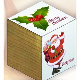 Plant Cube™ - Santa Holiday Design (Evergreen Seed)