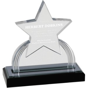 Starburst Acrylic Award, Silver, 6 1/4"H